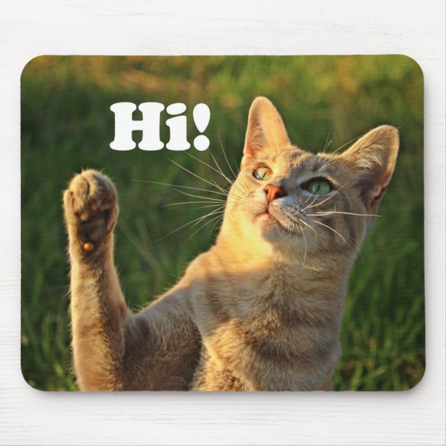 Ginger Cat Saying Hi! Mouse Mat (Front)