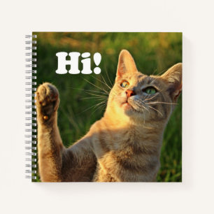 Ginger Cat Saying Hi! Notebook