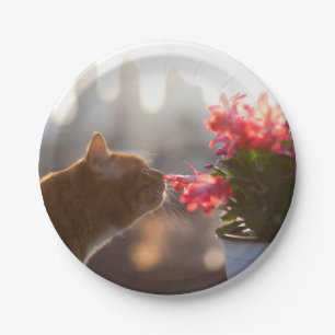 Ginger Cat Sniffing a Red Flower Paper Plate