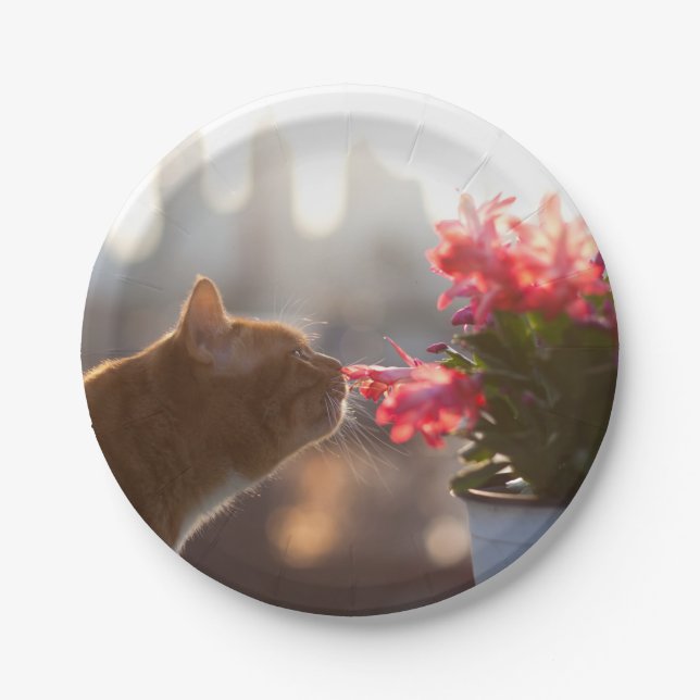 Ginger Cat Sniffing a Red Flower Paper Plate (Front)