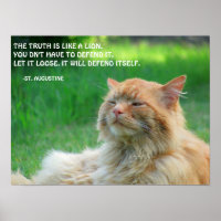 Ginger Cat St. Augustine Truth Quote