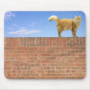 Ginger Cat Standing on Brick Wall Mouse Mat