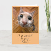 Ginger Cat Thank you card
