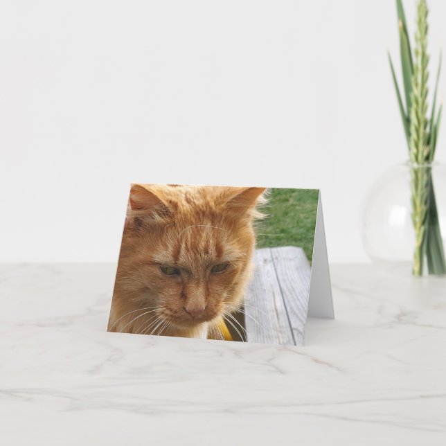Ginger cat thank you card (Front)