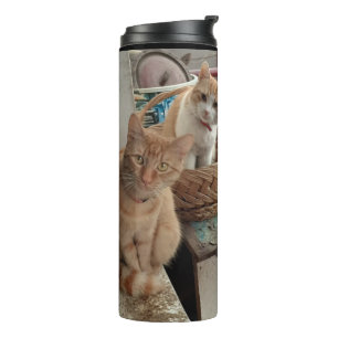 ginger cat thermal tumbler