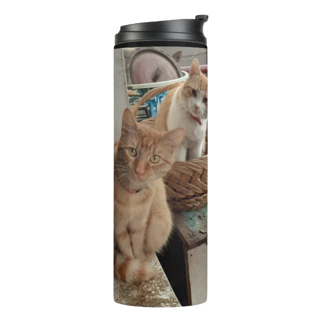 ginger cat thermal tumbler (Rotated Left)