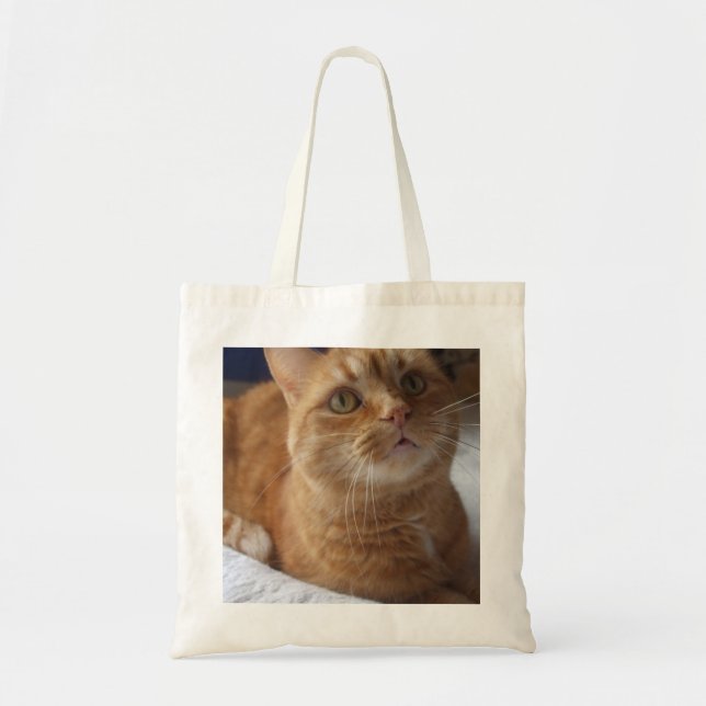 Ginger Cat Tote Bag (Front)