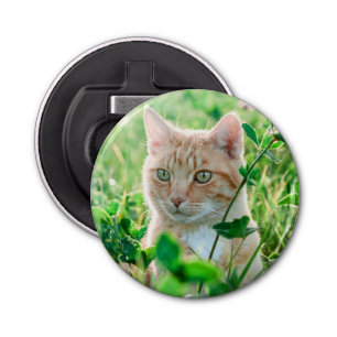 Ginger Cat with Green Eyes in Grass Bottle Opener
