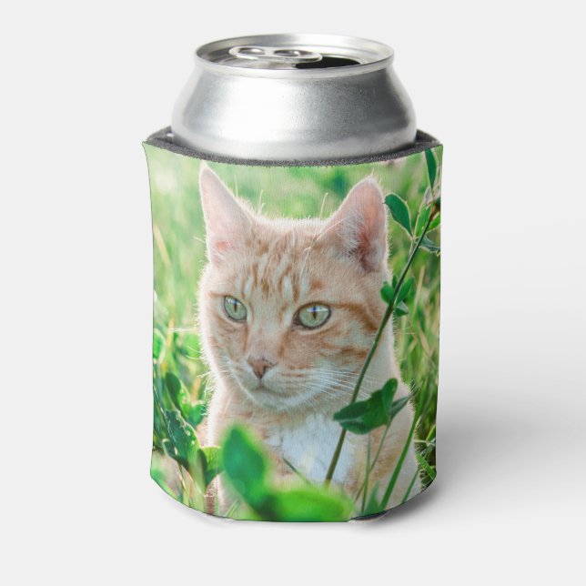 Ginger Cat with Green Eyes in Grass Can Cooler (Can Back)