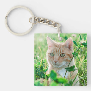 Ginger Cat with Green Eyes in Grass Key Ring