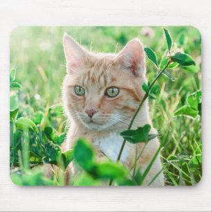 Ginger Cat with Green Eyes in Grass Mouse Mat