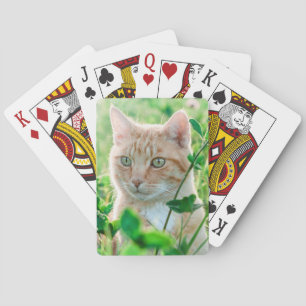Ginger Cat with Green Eyes in Grass Playing Cards