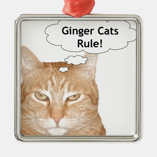 Ginger Cats Rule Metal Tree Decoration (Front)