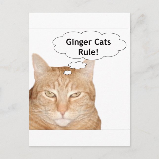Ginger Cats Rule! Postcard (Front)