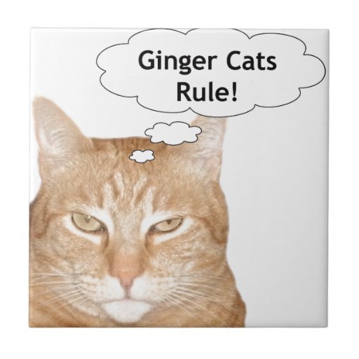 Image of Ginger Cats Rule Tile