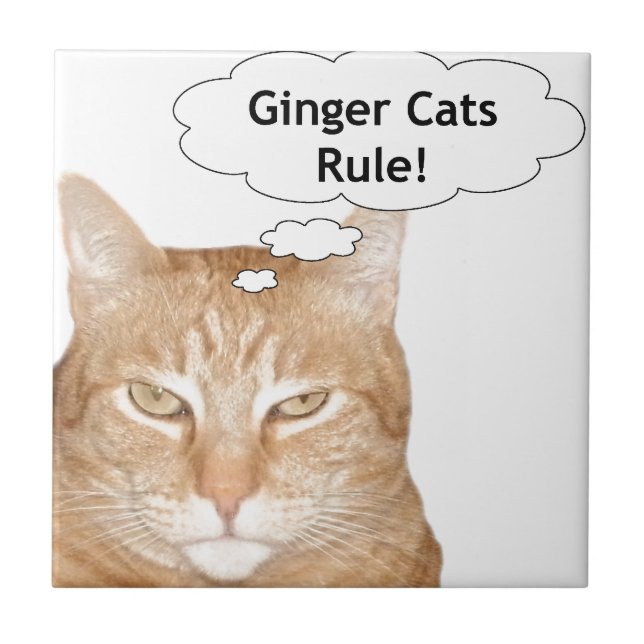 Ginger Cats Rule Tile (Front)