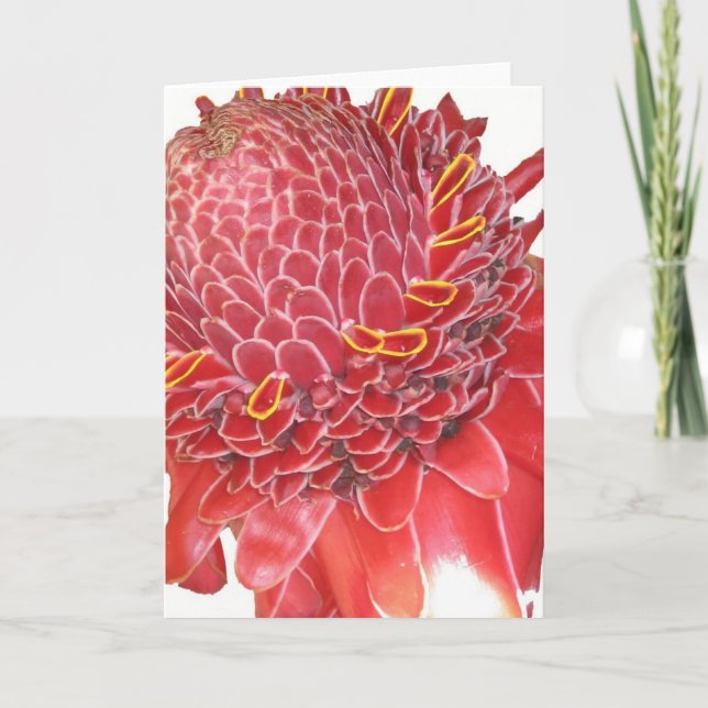 Ginger flower card (Front)