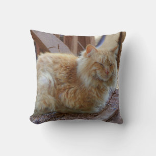 Ginger George  Cushion