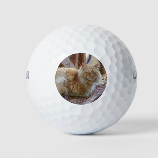 Ginger George Golf Balls (Front)