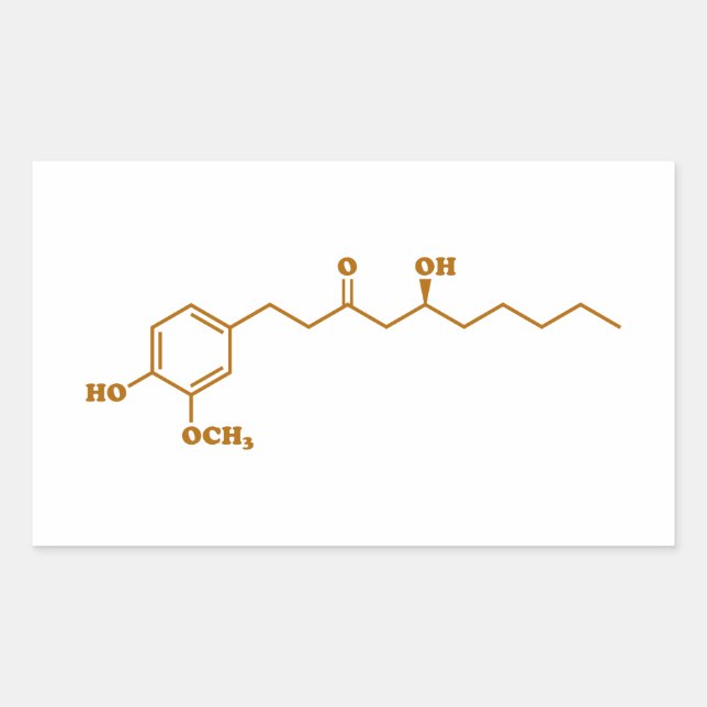 Ginger Gingerol Molecule Chemical Formula Rectangular Sticker (Front)