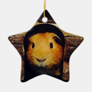 Ginger Guinea Pig Gifts Ceramic Tree Decoration