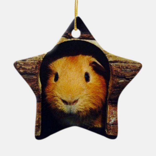 guinea pig ornament