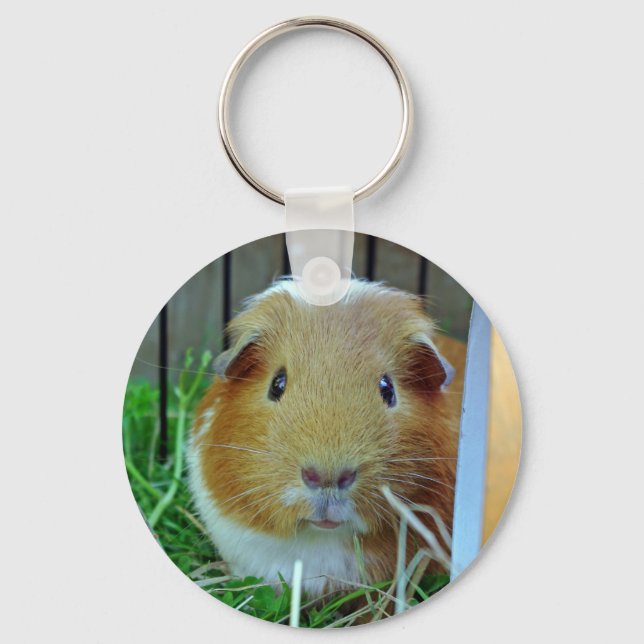 ginger guinea pig key ring (Front)