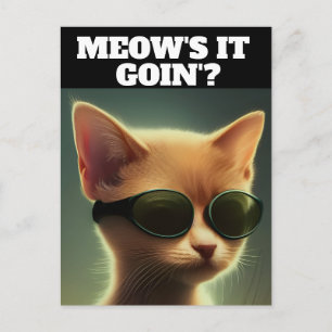 GINGER KITTEN CAT ART SUNGLASSES HELLO Postcards