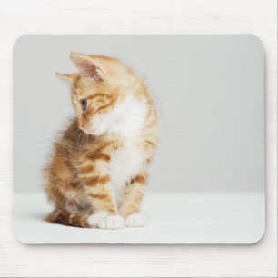 Ginger Kitten Mouse Mat