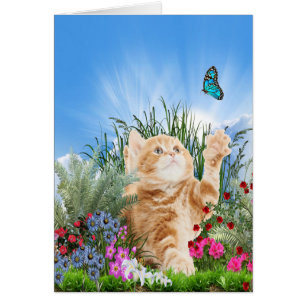 Ginger kitten playing with a butterfly