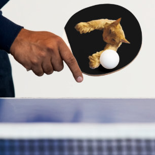 Ginger Lazy Cat, Ping Pong Paddle