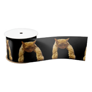 Ginger Lazy Cat, Satin Ribbon
