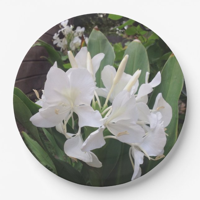 Ginger Lily Paper Plates (Front)