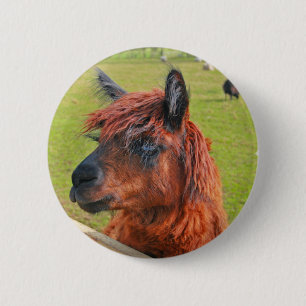Ginger Llama 6 Cm Round Badge