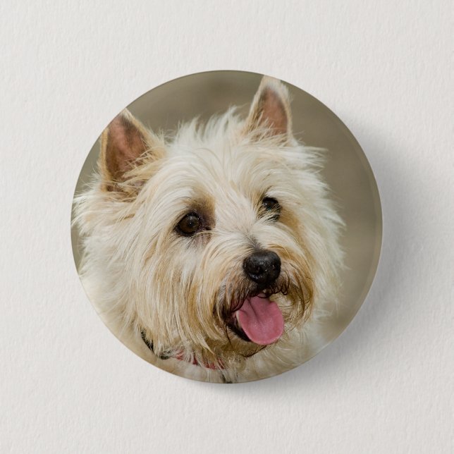 Ginger smiles pin (Front)