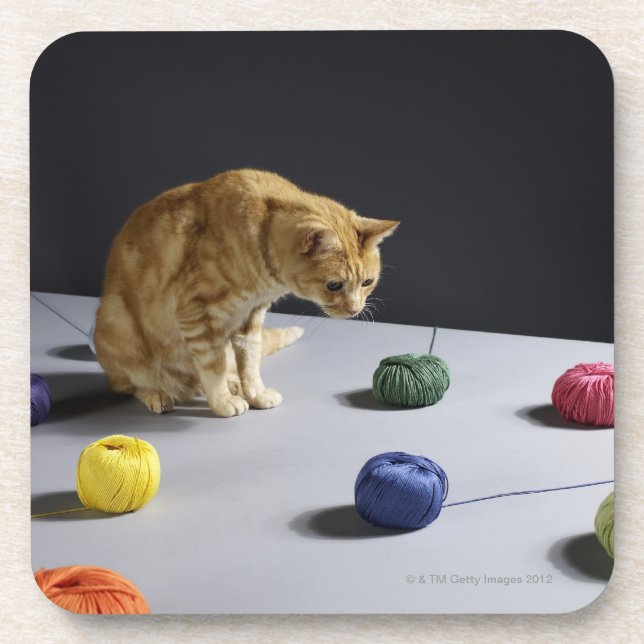 Ginger tabby cat sitting on table coaster (Front)