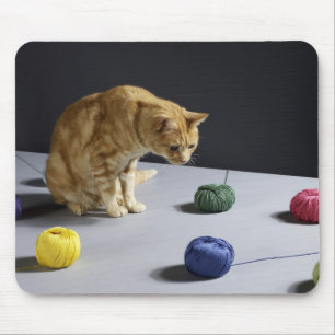 Ginger tabby cat sitting on table mouse mat
