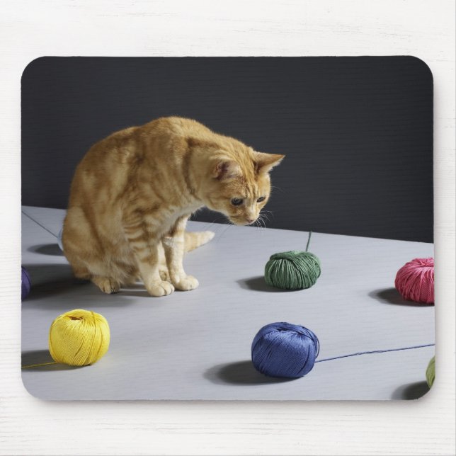 Ginger tabby cat sitting on table mouse mat (Front)