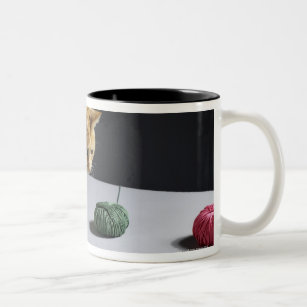 Ginger tabby cat sitting on table Two-Tone coffee mug