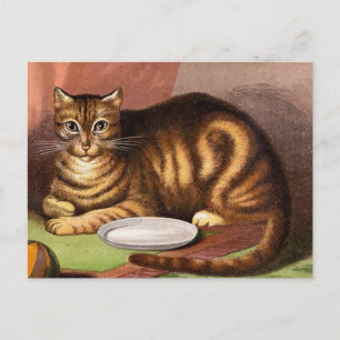 Ginger Tabby Cat Vintage Illustration Postcard