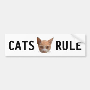 Ginger Tabby Kitty Cat Bumper Sticker