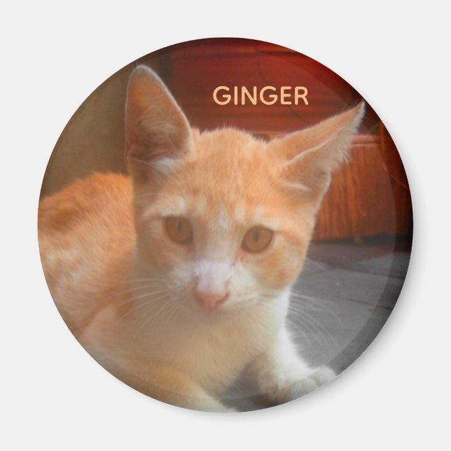 Ginger Tabby Kitty Cat Magnet (Front)
