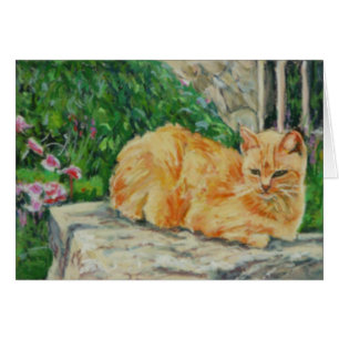 Ginger Tom Cat