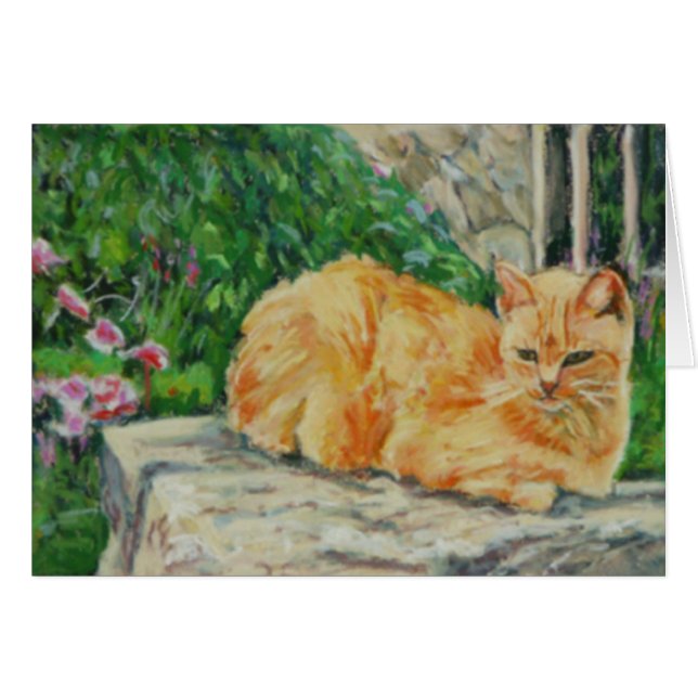 Ginger Tom Cat (Front Horizontal)