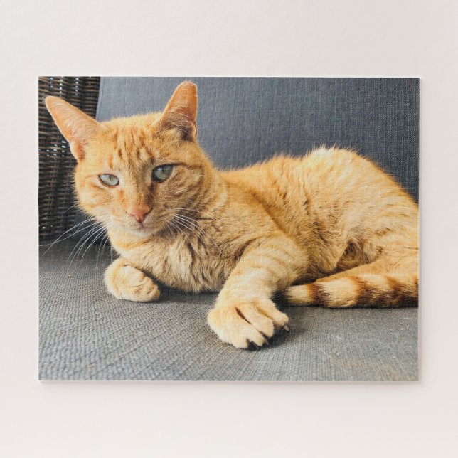 Ginger Tortoiseshell Cat relaxing on chair Jigsaw Puzzle (Horizontal)