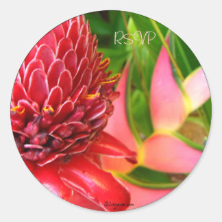 Ginger Tropical Wedding Envelope Seals/ Stickers
