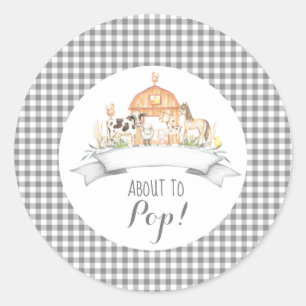 Gingham farm baby shower invitation About to pop C Classic Round Sticker