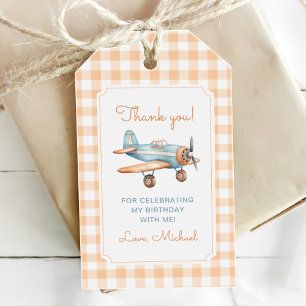 Gingham Time Flies Aeroplane First Birthday Gift Tags