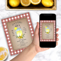 Gingham Wildflower Lemonade Baby Q Baby Shower