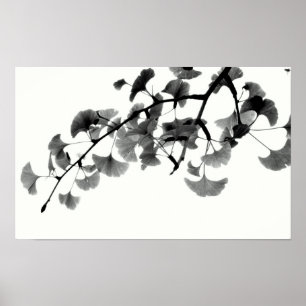 Gingko Biloba Foliage in Black and White Poster